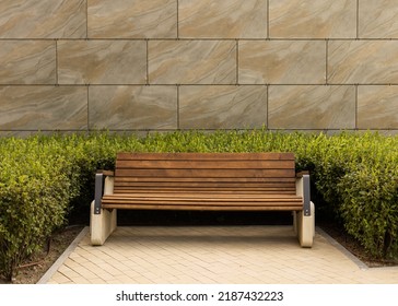 New modern bench in park. Outdoor city architecture, wooden benches, outdoor chair, urban public furniture, empty plank seat, comfortable bench in recreation area.