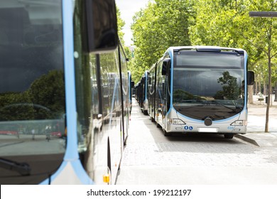 New Modern City Bus