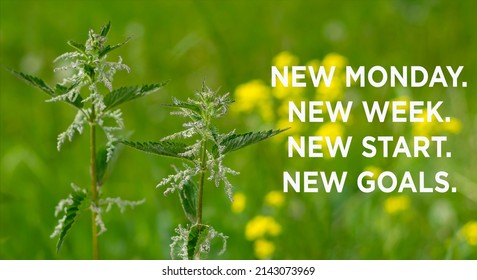 1,173 New monday goals Images, Stock Photos & Vectors | Shutterstock