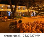 New Orleans house halloween decoration, pumpkins, ghosts, black cat