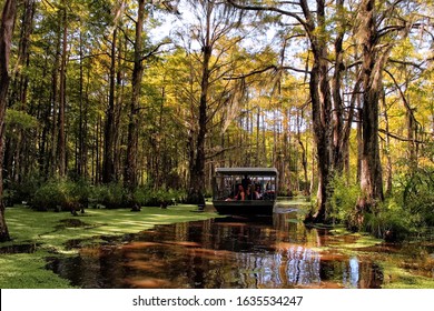 NEW ORLEANS, USA - August 31, 2019: A swamp tour boat drifts on a waterway of the Barataria Swamps around New Orleans, Louisiana & a scenic view of an autumn forest on the background