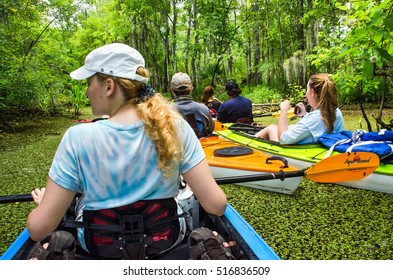 New Orleans, USA - July 11, 2015: People kayaking in still water swamp pond on tour with leaves floating on water