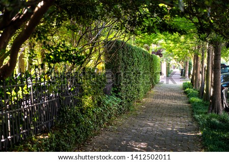 New Orleans, USA Old street historic Garden district in Louisiana famous town city with cobblestone sidewalk path tunnel in spring green color