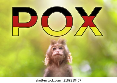 A New Outbreak Of Viral Infection At Germany, Monkey Pox. Small Monkey Look At Text POX With German Flag. The Concept Of Monkeypox, Pandemic And Transmissible Virus.