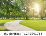 New pathway and beautiful trees track for running or walking and cycling relax in the park on green grass field on the side of the golf course. Sunlight and flare background concept.