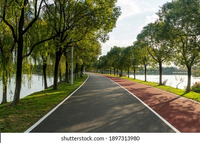 New Pathway And Beautiful Trees Track For Running Or Walking And Cycling Relax In The Park 