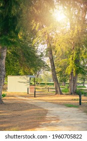 New Pathway Beautiful Trees Track Running Stock Photo 1242641755 ...