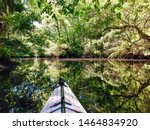 New Port Richey, Florida, USA - Nov. 30, 2015: A kayaker enjoys the peace of the Pithlachascotee River at James E. Grey Preserve north of Tampa. Manatees and otters are common visitors to the park.