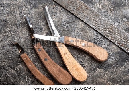 new professional hoof  knives with  rasp for trimming horsy foot against grey background. horse hoof care concept