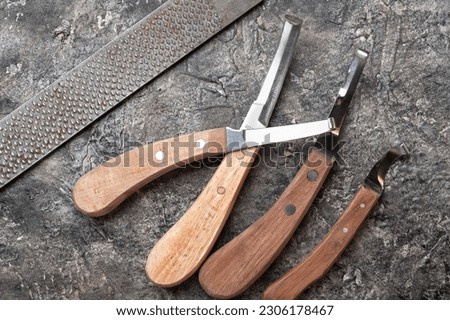 new professional hoof  knives with  rasp for trimming horsy foot against grey background. horse hoof care concept