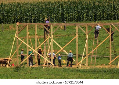 New Providence, PA, USA - July 30, 2013: Amish Farmers At A “barn Raising” In Rural Lancaster County.