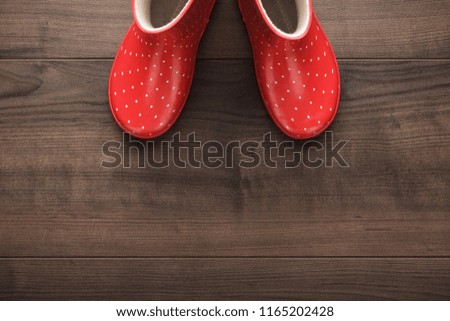 Similar – Image, Stock Photo Ladies pumps on wooden boards