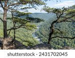 New River Gorge National Park and Preserve, West Virginia. Endless Wall Trail and Diamond Point, Fern Creek Trailhead, Nuttall Trailhead.