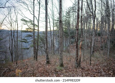 New River Gorge National Park And Preserve