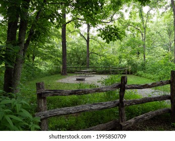 New River State Park Campsite, North Carolina