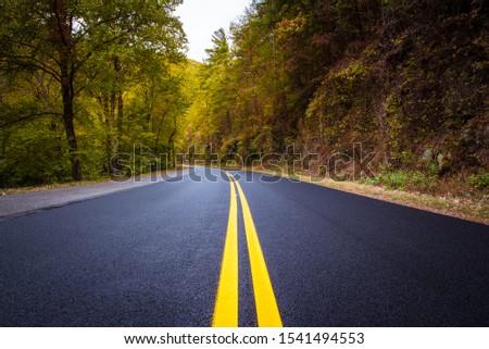 New road with two solid yellow lines. Beautiful autumn forest. 