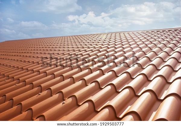 New roof, in sandwich panel similar to the\
tile, more beautiful and\
insulated