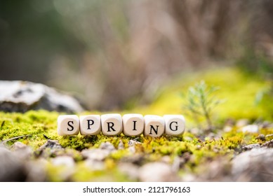 The New Season Of The Year, Spring, Spring Word, March 20-21 Northern Hemisphere, September 22-23 Southern Hemisphere, Climate Change