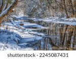 New snow along the Cranberry River, Monongahela National Forest, West Virginia, USA
