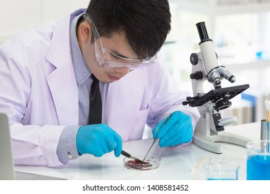 New stuff testing scientist in the lab