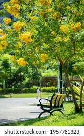 New Taipei City, Taiwan-April 17, 2021: Fumei Park In Xinzhuang District Is A Rezoned Park In Touqian, Covering An Area Of ​​about 2,000 Pings.