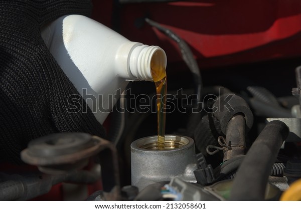 New transparent yellow engine oil is poured into a\
car engine
