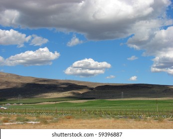 New Vineyards In Washington State Wine Country With Clouds