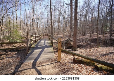 New Wooden Bridge In Greenbelt National Park During Sunny Cold Winter Afternoon (Prince George County).