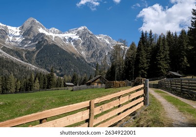 A new wooden pasture fence draws the eye to high mountains, some of which are still covered in the last snow, in the Antholz Valley, South Tyrol, Italy. It lies in the Hohe Tauern in the Alps.