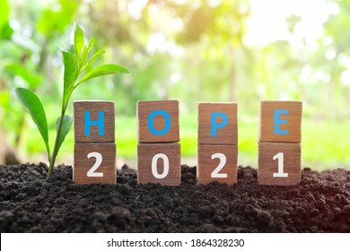 New year 2021 is hope and brighter future concept in wooden blocks with natural background and a growing plant.  