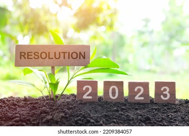 New Year 2023 Life Goal, Resolution And New Priorities Concept. Wooden Blocks Dice On A Natural Background At Morning Sunrise	