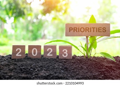 New Year 2023 Life Goal, Resolution And New Priorities Concept. Wooden Blocks Dice On A Natural Background At Morning Sunrise	