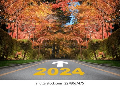 New year 2024 and arrow symbol marking on road in the mountain with maple trees, happy new year concept