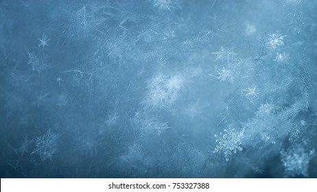 New Year And Christmas Abstract Icy Snowy Background With Real Snowflakes Macro In Cold Blue Tones