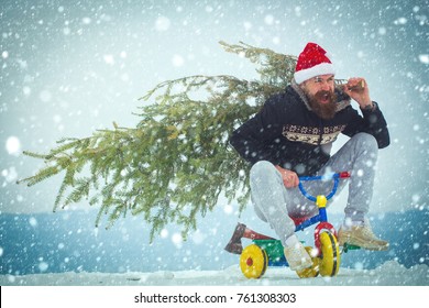 New Year Christmas Snow Concept Excited Cyclist Shouting In Santa Hat And Sporty Wear. Happy Hipster Carrying Xmas Tree White Snow. Man Riding Tricycle On Snowy Landscape. Holiday Celebration Concept.