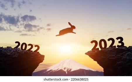 New year concept of 2023. Jumping rabbit to 2023. New year's card. - Shutterstock ID 2206638025