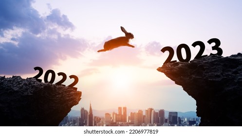 New year concept of 2023. Jumping rabbit to 2023. New year's card. - Shutterstock ID 2206977819