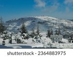 new year photo with the snow and cristmas trees taken with my canon 90d , Golan Heights Israel , December 28 2023