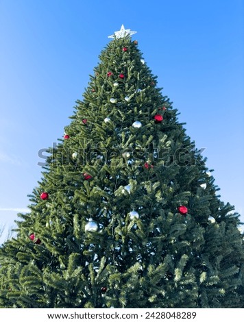 Similar – Christmas tree Hang