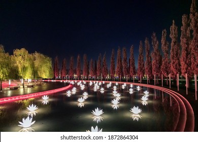 New Year's Decoration In Krasnodar Park