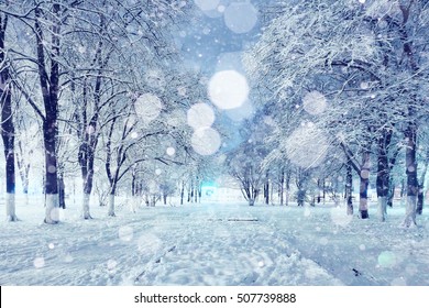 Winter Night Park Stock Photo 519245386 | Shutterstock