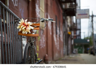 New York Alley Flower Bike