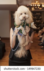 NEW YORK - AUGUST 11: Model Walks Dog On Runway At Dog Fashion Show By Bandit-Rubio At Roger Smith Hotel On August 11, 2013 In New York City