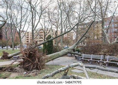 New York - CIRCA 2012: Consequences Of Sandy The Hurricane. Superstorm Sandy Was The Most Destructive Hurricane Of The 2012 Atlantic Hurricane Season.