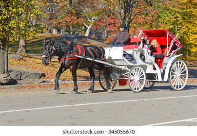 NEW YORK - CIRCA NOVEMBER 2015. While horse-drawn carriages draw tourists, there is a movement to ban them, citing animal cruelty as well as being unsanitary filling the streets with feces.