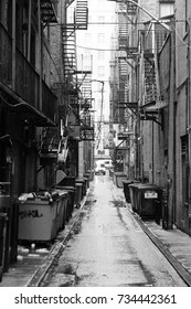 New York City Black And White Alley