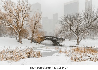 New York City Central Park In Snow