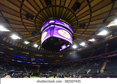 NEW YORK CITY - FEBRUARY 13 2017: The Westminster Kennel Club's 141st Annual Best In Show Took Place In Madison Square Garden & The Hudson River's Pier 92.