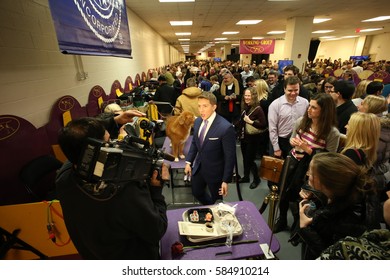 NEW YORK CITY - FEBRUARY 14 2017: The 141st Westminster Kennel Club Best In Show Concluded In Madison Square Garden