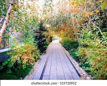 New York City High Line In Autumn